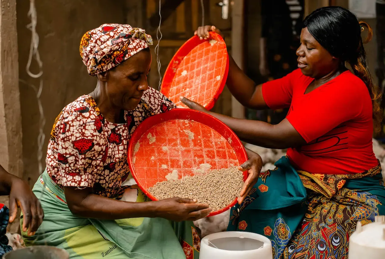 Two women sieving grain into a bowl