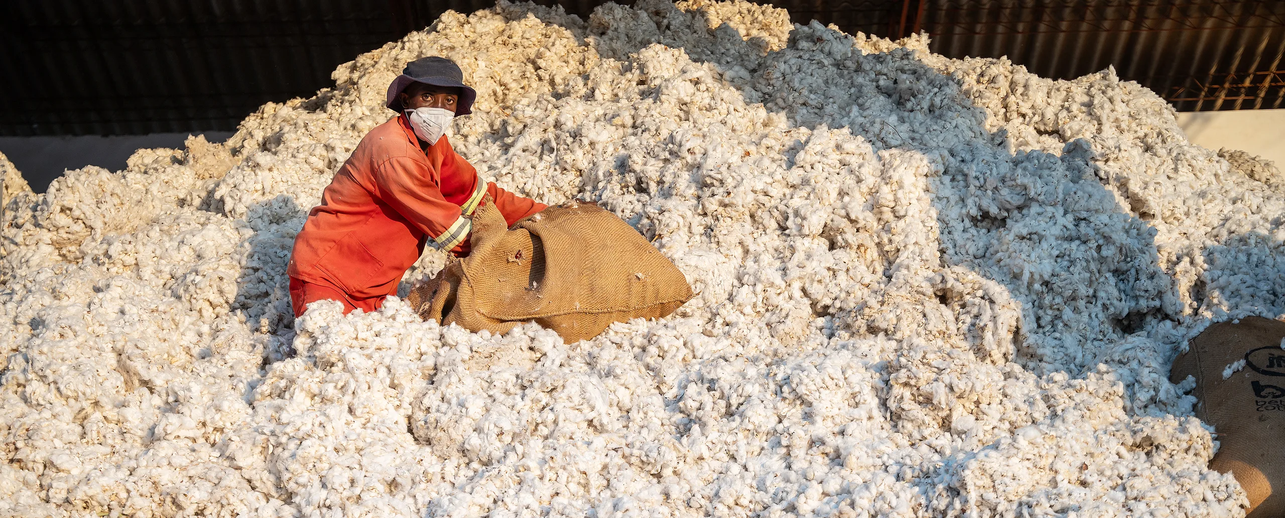 A worker in a protective mask on a heap of raw cotton