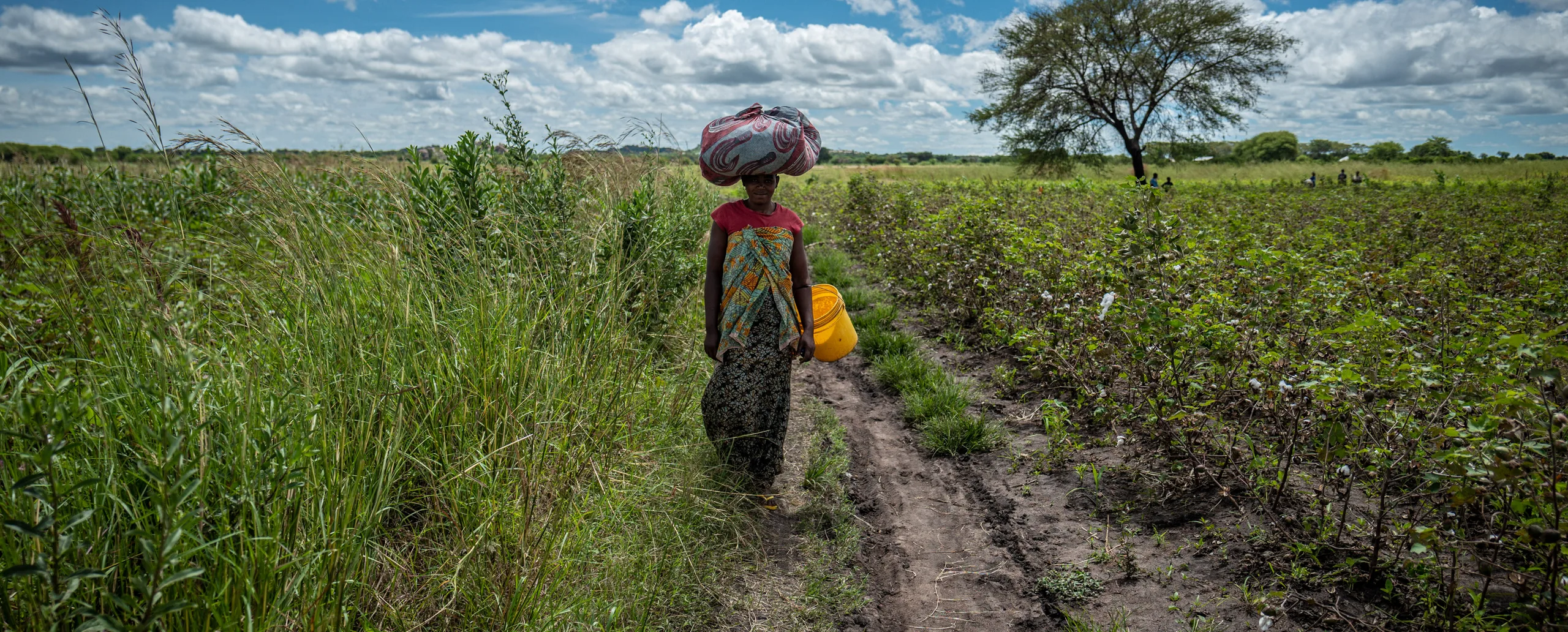 A woman carrying a load on her head along a field path
