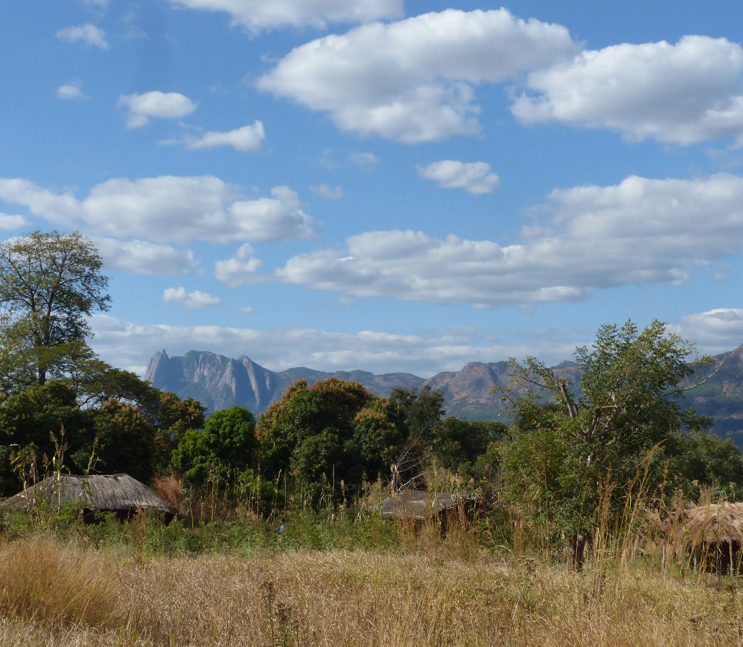 Trees and huts in front of a mountain range under a wide sky
