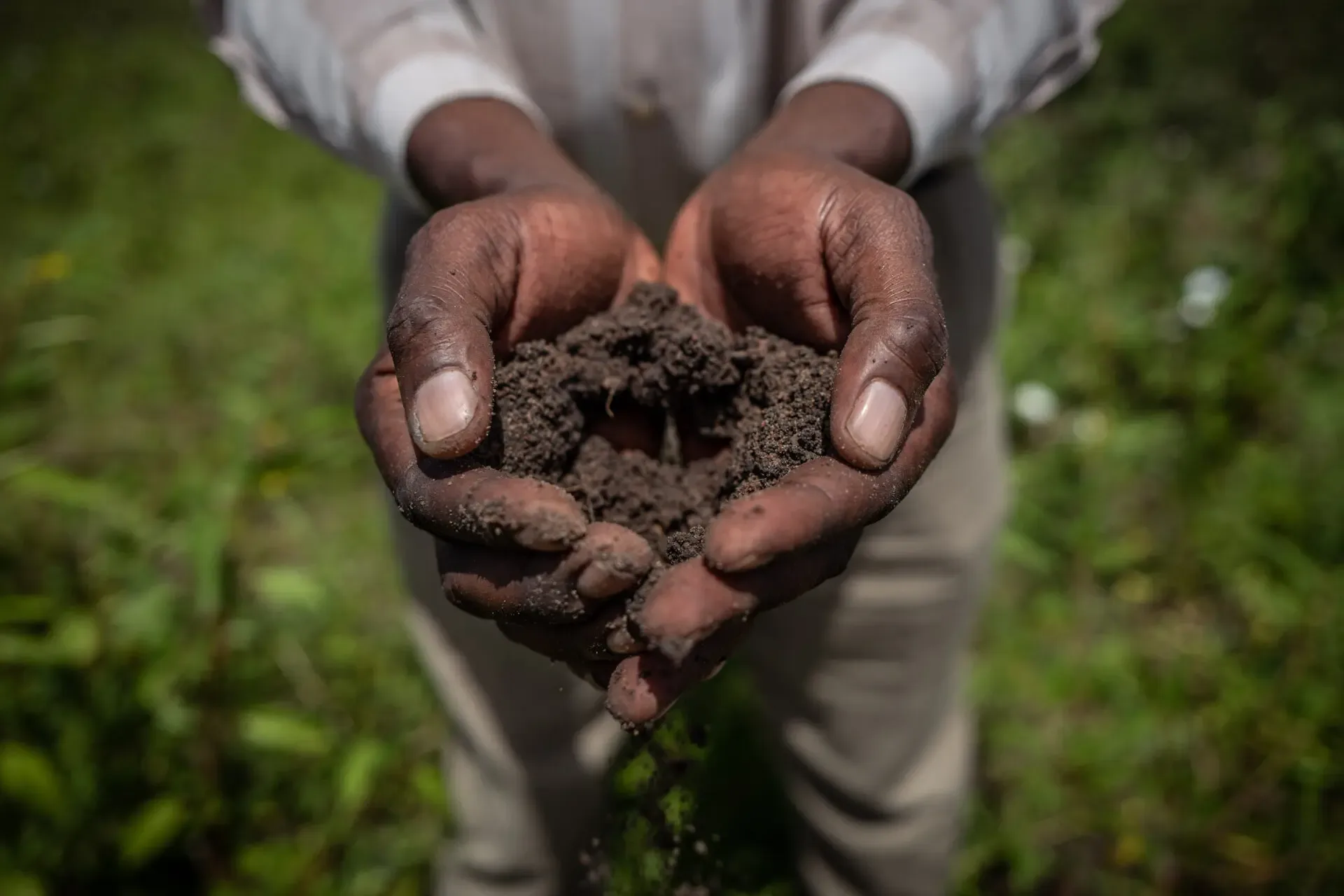 Two hands holding a mound of crumbly dark soil