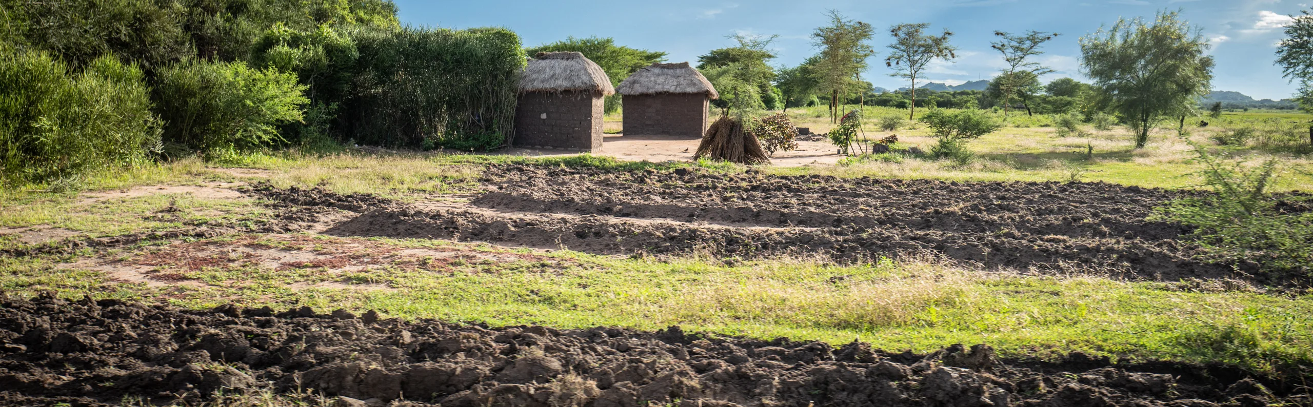 Ploughed ground in front of thatched huts and trees