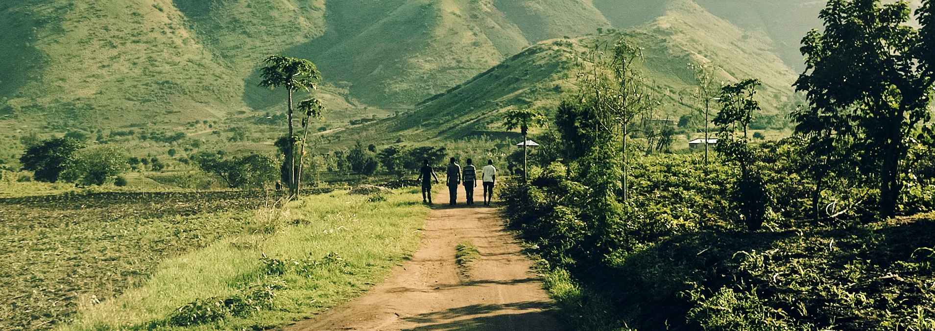 Green hills with a path leading through the fields