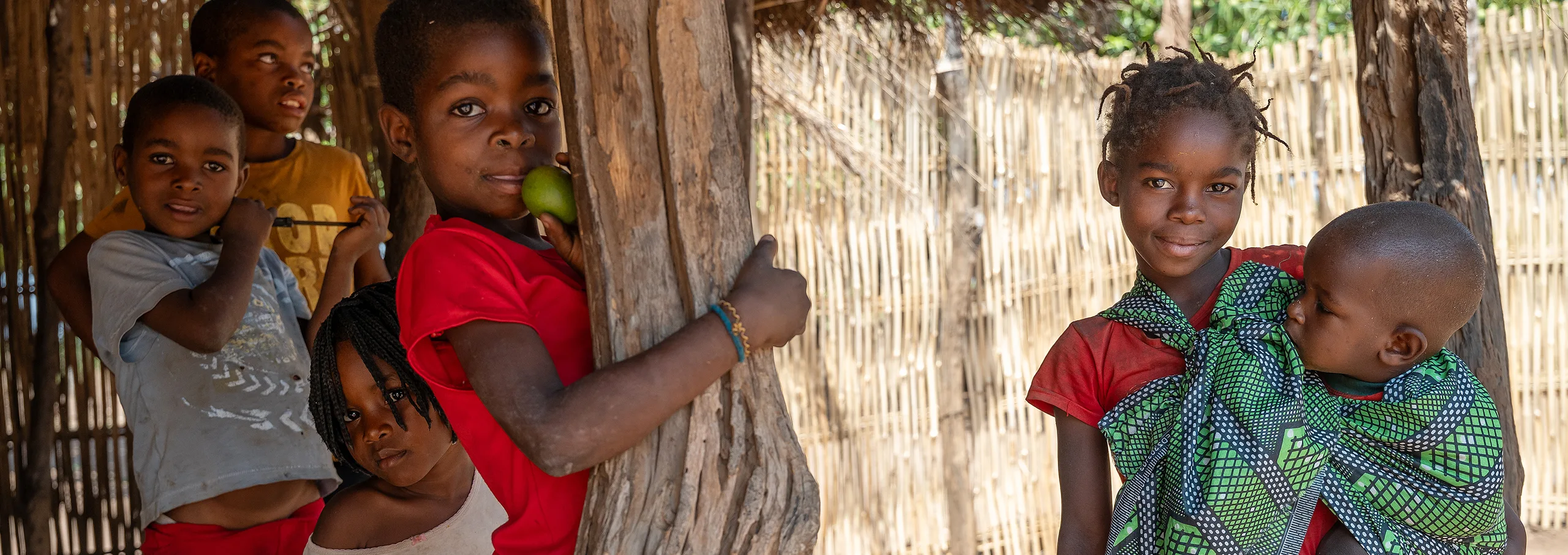 Children standing by a wooden fence