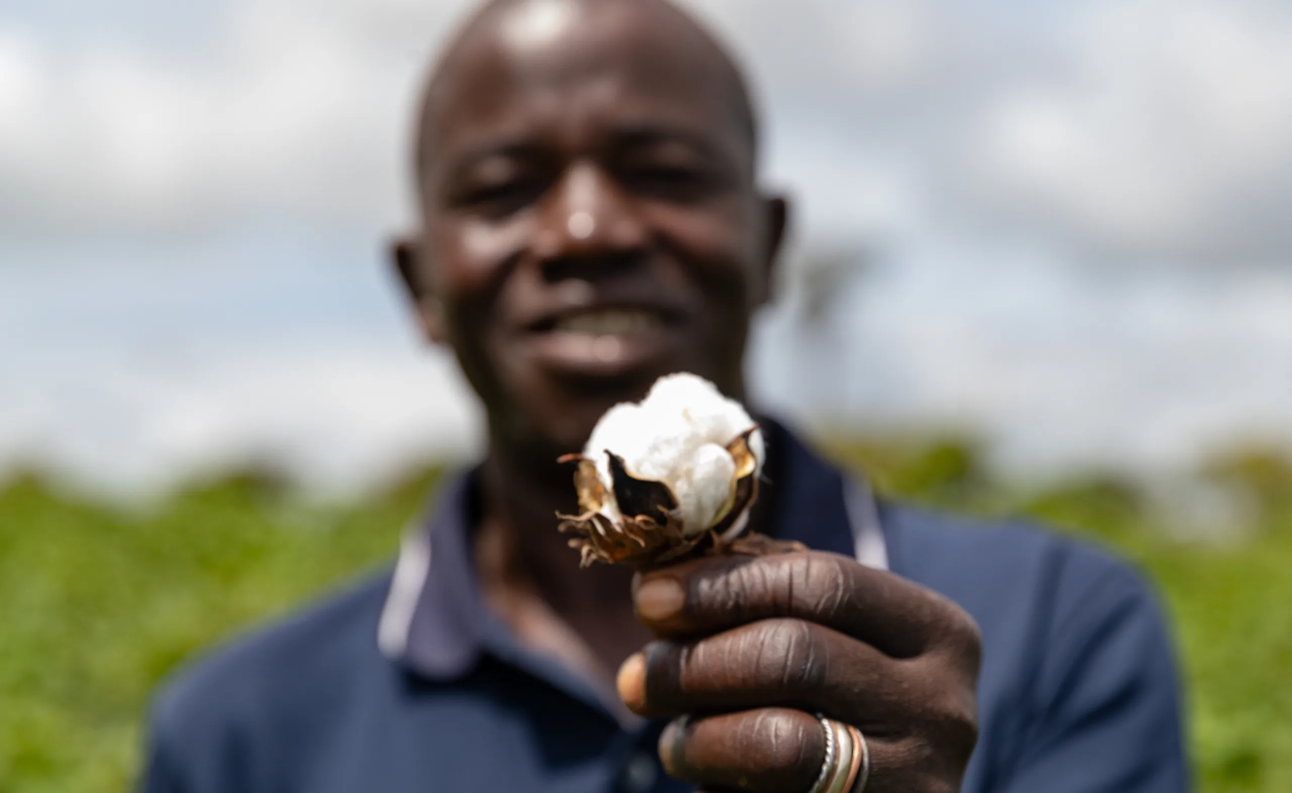 A farmer holding a cotton boll