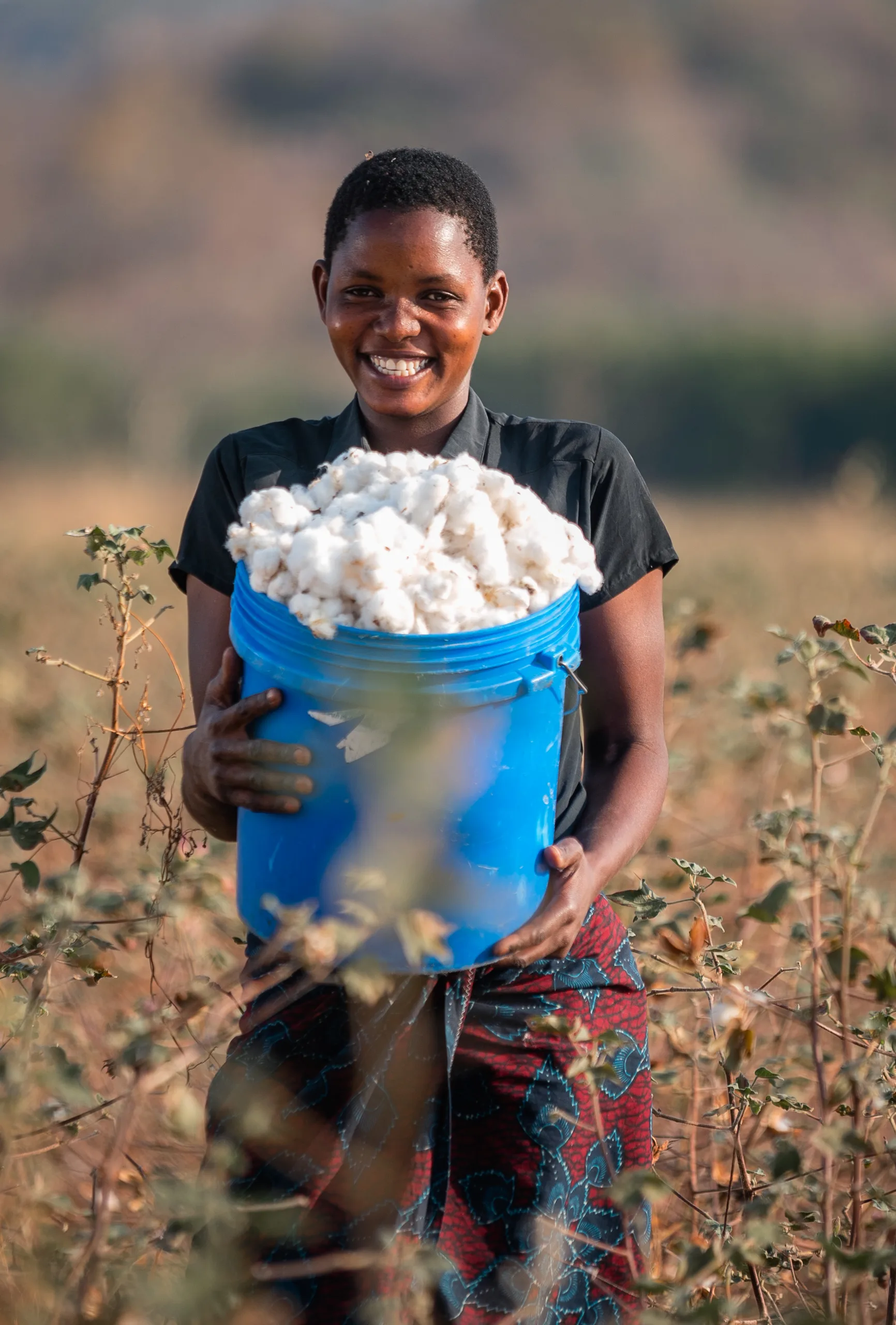 A woman with a bucket of cotton in the field