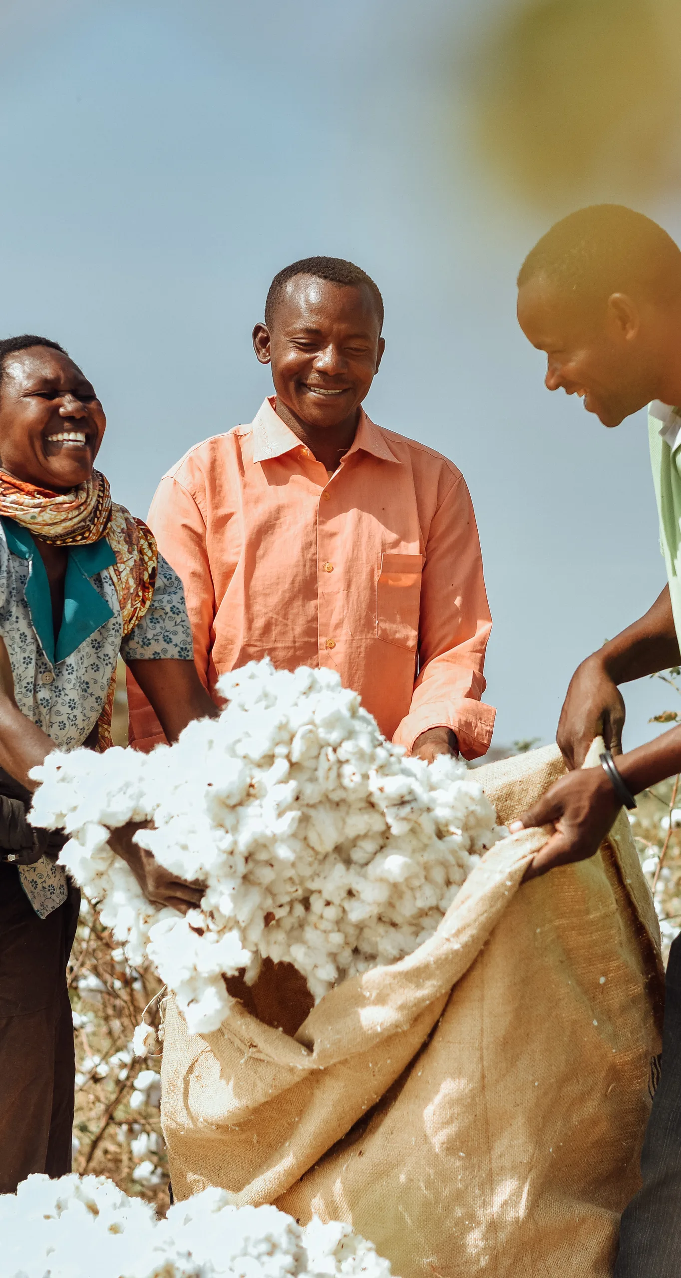 Farmers filling a sack with harvested cotton