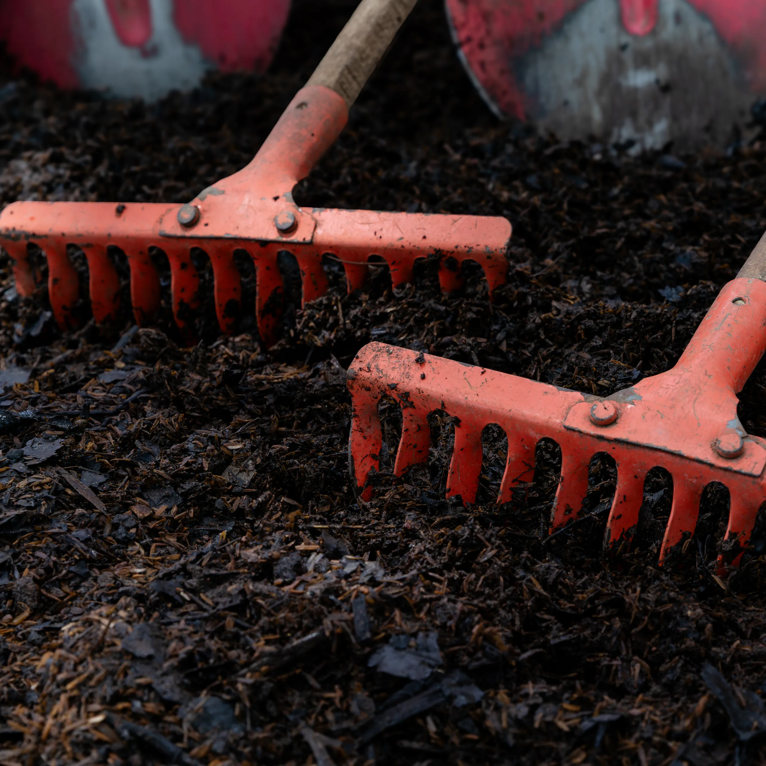 Rakes lying on freshly turned soil